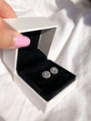 Elegant Round Stud Earrings